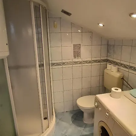 Urban Oasis In Apartment
