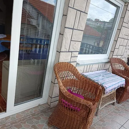 Urban Oasis In Apartament