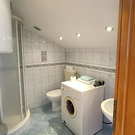 Urban Oasis In Apartment