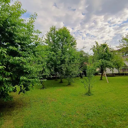 Urban Oasis In