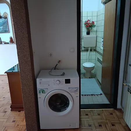 Urban Oasis In Apartment *